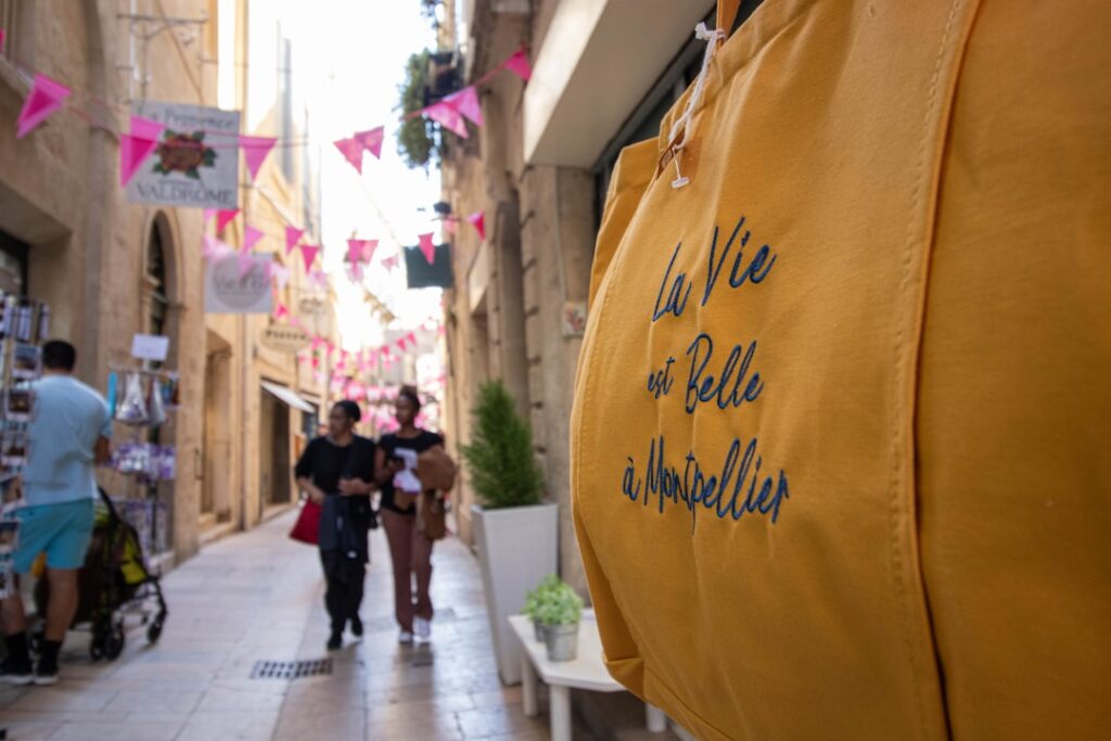 accédez facilement à votre webmail à montpellier avec notre service de messagerie sécurisé et rapide, idéal pour les particuliers et les professionnels.